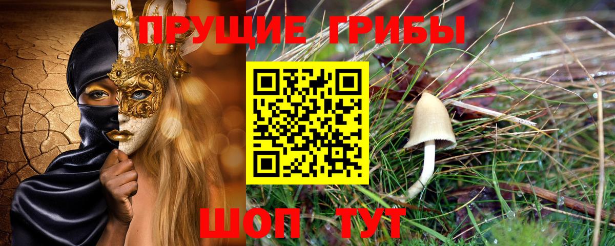 Вязники  Псилоцибиновые грибы мицелий  Вход с VPN  Псилоцибиновые грибы MAGIC MUSHROOMS 