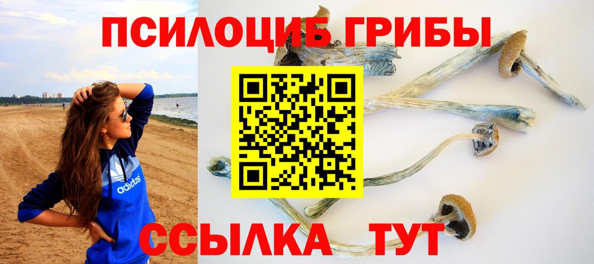 Вязники  Вход с VPN  Где купить наркотики?  Меф МЯУ МЯУ   МДМА  Кокаин  Гашиш  Бошки Шишки  ГАШ 